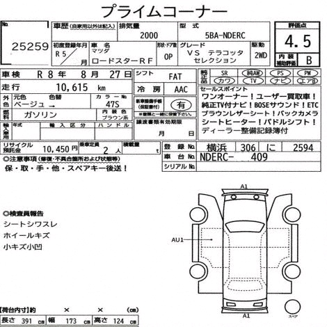 Inspection report page